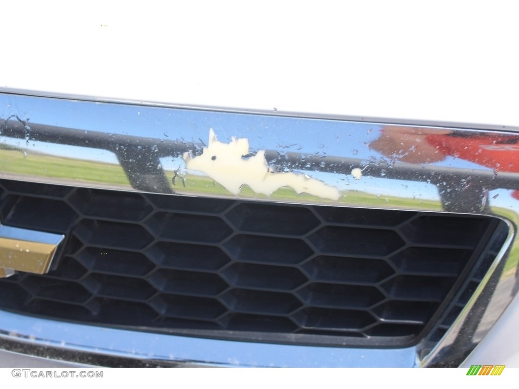 2013 Caprice PPV - Heron White / Dark Pewter photo #28