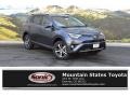 Magnetic Gray Metallic - RAV4 XLE Photo No. 1