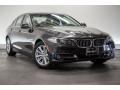 2016 Jet Black BMW 5 Series 528i Sedan  photo #12