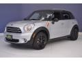 Crystal Silver Metallic - Countryman Cooper Photo No. 3