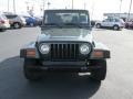 2004 Shale Green Metallic Jeep Wrangler X 4x4  photo #3