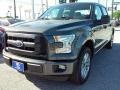 Magnetic - F150 XL SuperCrew Photo No. 15