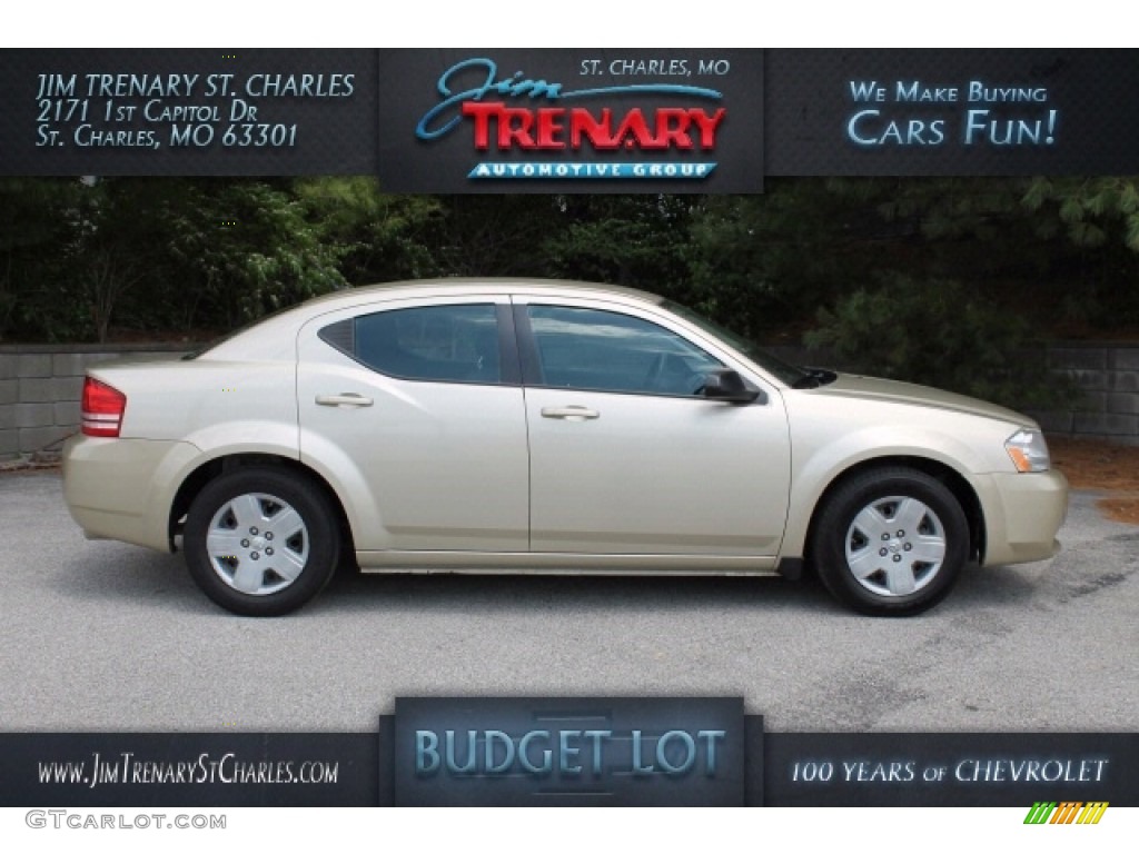 2010 Avenger SXT - White Gold / Dark Slate Gray photo #1