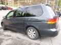 2004 Sage Brush Pearl Honda Odyssey EX-L  photo #9