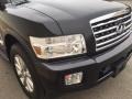 Liquid Onyx Black - QX 56 4WD Photo No. 14