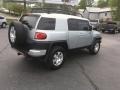 Titanium Metallic - FJ Cruiser 4WD Photo No. 4