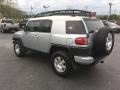 Titanium Metallic - FJ Cruiser 4WD Photo No. 5
