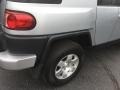 Titanium Metallic - FJ Cruiser 4WD Photo No. 15