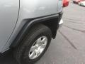 Titanium Metallic - FJ Cruiser 4WD Photo No. 19