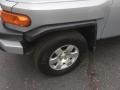 Titanium Metallic - FJ Cruiser 4WD Photo No. 24