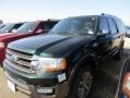 Green Gem Metallic 2016 Ford Expedition EL King Ranch Exterior