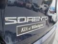 Blaze Blue - Sorento LX Photo No. 39