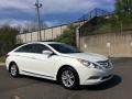 Shimmering White - Sonata GLS Photo No. 3