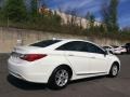 Shimmering White - Sonata GLS Photo No. 4