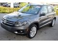 Pepper Gray Metallic - Tiguan SE Photo No. 4