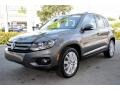 Pepper Gray Metallic - Tiguan SE Photo No. 5