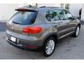 Pepper Gray Metallic - Tiguan SE Photo No. 9