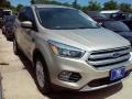 2017 White Gold Ford Escape SE  photo #3