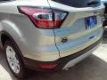 2017 White Gold Ford Escape SE  photo #10