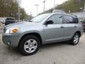 Everglade Metallic - RAV4 4WD Photo No. 9