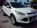 2016 White Platinum Metallic Ford Escape Titanium  photo #1