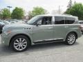 Mountain Sage - QX 56 4WD Photo No. 3