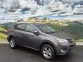 Magnetic Gray Metallic - RAV4 XLE Photo No. 1
