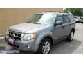 2008 Tungsten Grey Metallic Ford Escape XLT V6  photo #1