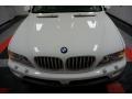 Alpine White - X5 4.4i Photo No. 64