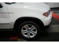 Alpine White - X5 4.4i Photo No. 67