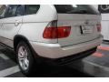 Alpine White - X5 4.4i Photo No. 79