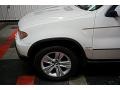 2005 Alpine White BMW X5 4.4i  photo #91