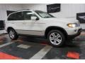Alpine White - X5 4.4i Photo No. 110