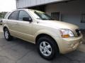 2009 Sand Beige Kia Sorento LX 4x4  photo #9