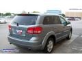 2009 Silver Steel Metallic Dodge Journey SXT  photo #3