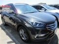 Platinum Graphite - Santa Fe Sport FWD Photo No. 1