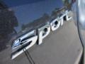 Platinum Graphite - Santa Fe Sport FWD Photo No. 6