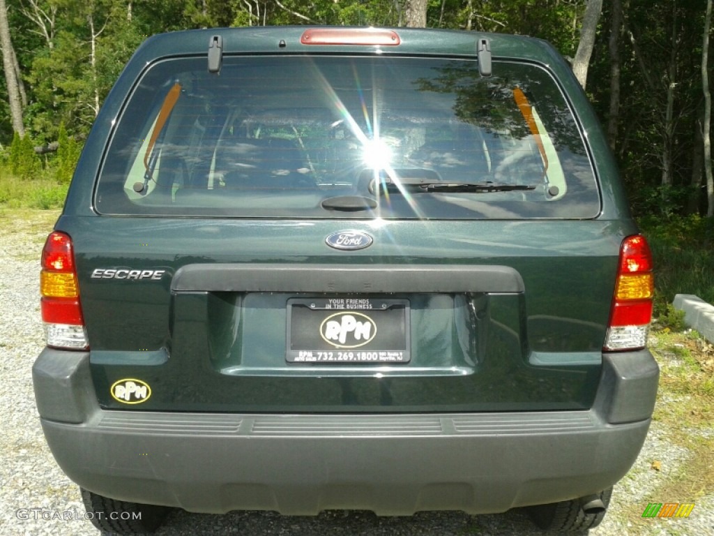 2004 Escape XLS V6 4WD - Aspen Green Metallic / Medium/Dark Flint photo #6