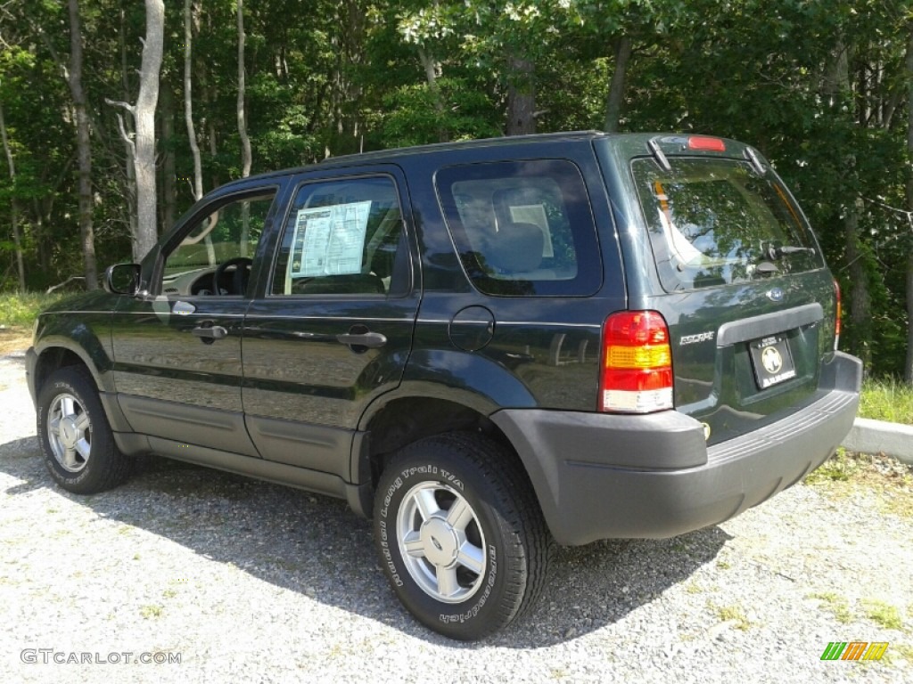 2004 Escape XLS V6 4WD - Aspen Green Metallic / Medium/Dark Flint photo #7