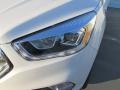 2017 White Platinum Ford Escape Titanium  photo #9