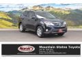Black - RAV4 XLE AWD Photo No. 1