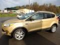 2015 Karat Gold Metallic Ford Escape Titanium 4WD  photo #6