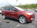 2016 Sunset Metallic Ford Escape SE 4WD  photo #1