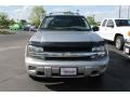 Silverstone Metallic - TrailBlazer LS 4x4 Photo No. 8