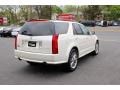 2006 White Diamond Cadillac SRX V6  photo #9