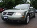 Fresco Green Metallic - Passat GLX Sedan Photo No. 1