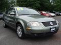 Fresco Green Metallic - Passat GLX Sedan Photo No. 3