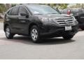 Crystal Black Pearl - CR-V LX Photo No. 1