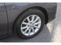 Magnetic Gray Metallic - Camry XLE Photo No. 11