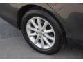 Magnetic Gray Metallic - Camry XLE Photo No. 12